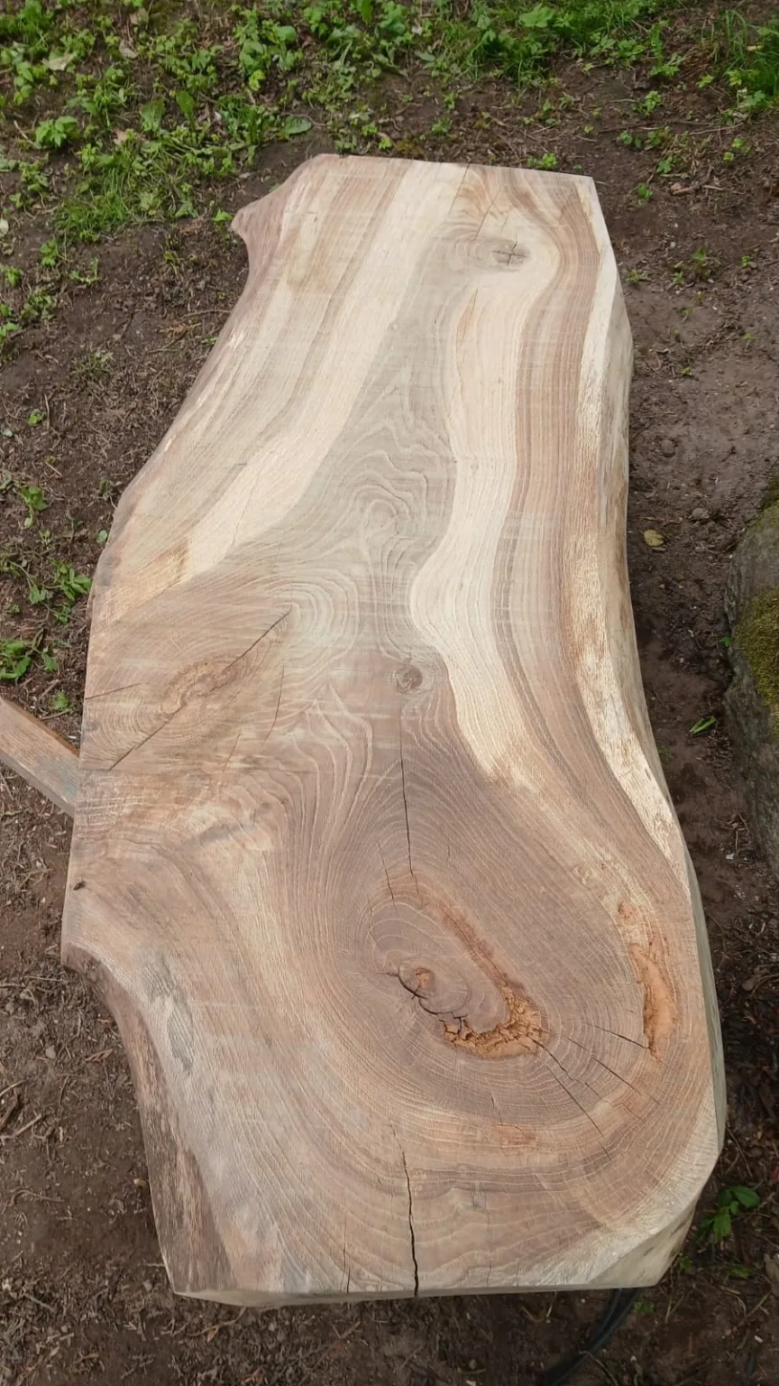 Live edge oak slab after rough milling, suitable for table hero/product section.